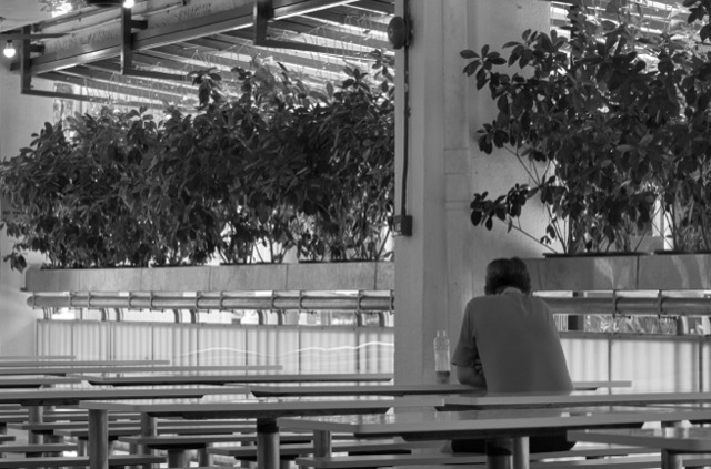 A person sitting alone at a table in a bright indoor space with plants and a glass of beverage.