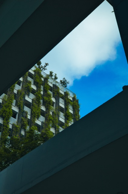 View of a modern building covered with green plants seen through a geometric opening in a concrete structure against a bright blue sky.
