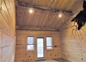 Unfinished wooden room with a ceiling light, two small windows, and a glass door. A black cat is perched on the ceiling.