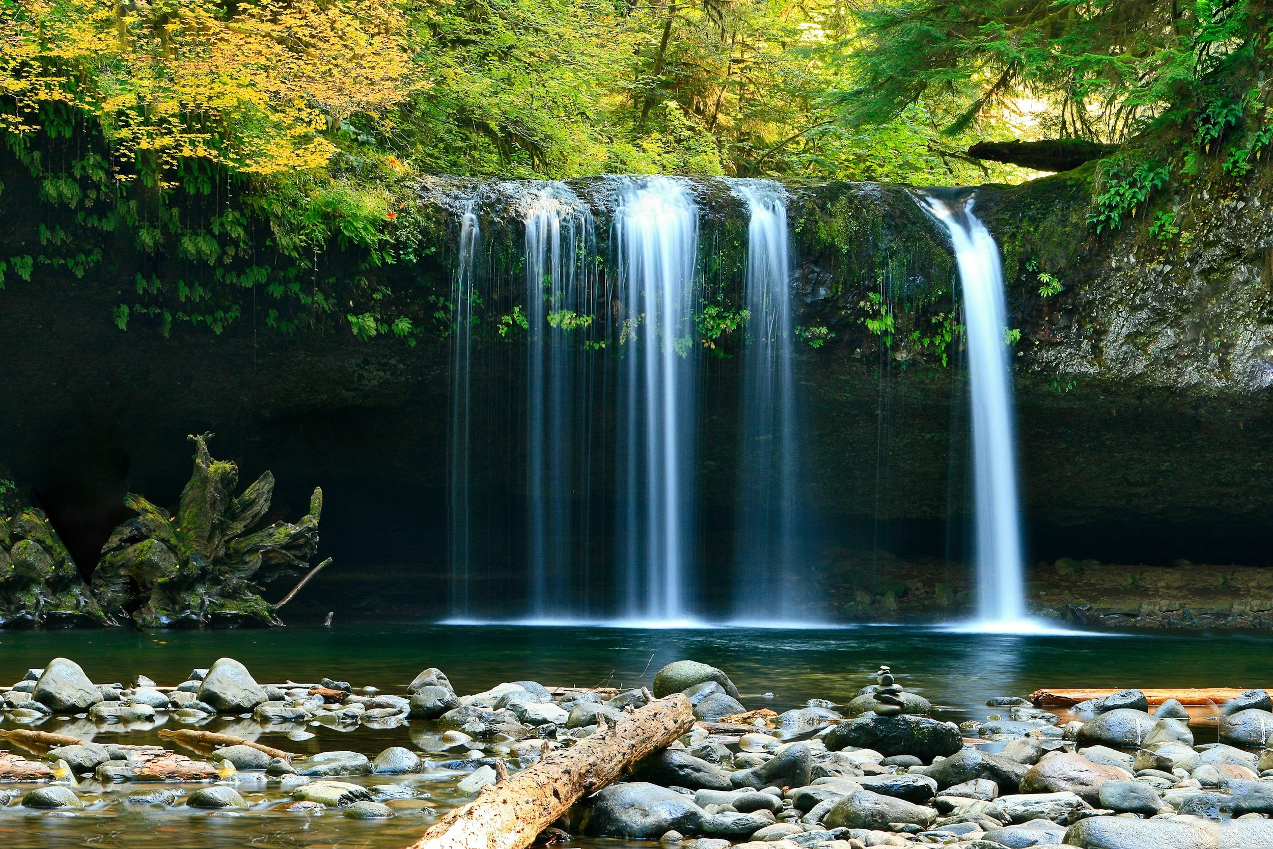 Ein Wasserfall im Wald, mit Wasser, das in einen Fluss oder Teich fließt, umgeben von Steinen und Bäumen mit grünem Laub.