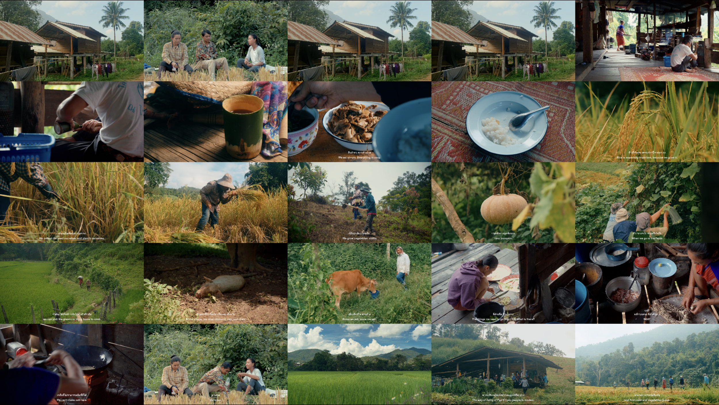 A collage of scenes from rural life, including villagers working in rice fields, gathered around a house, cooking and eating traditional food, tending to animals like pigs and cows, and enjoying nature with mountains in the background.