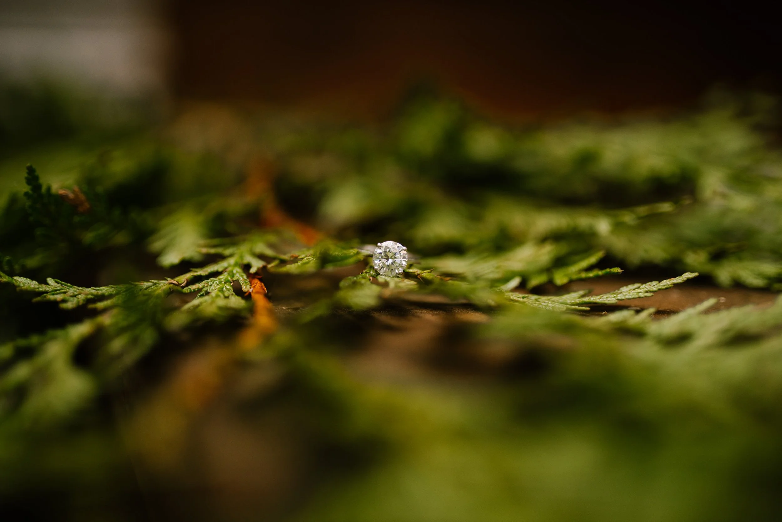 _sarahlizphoto.com (23 of 459).jpg