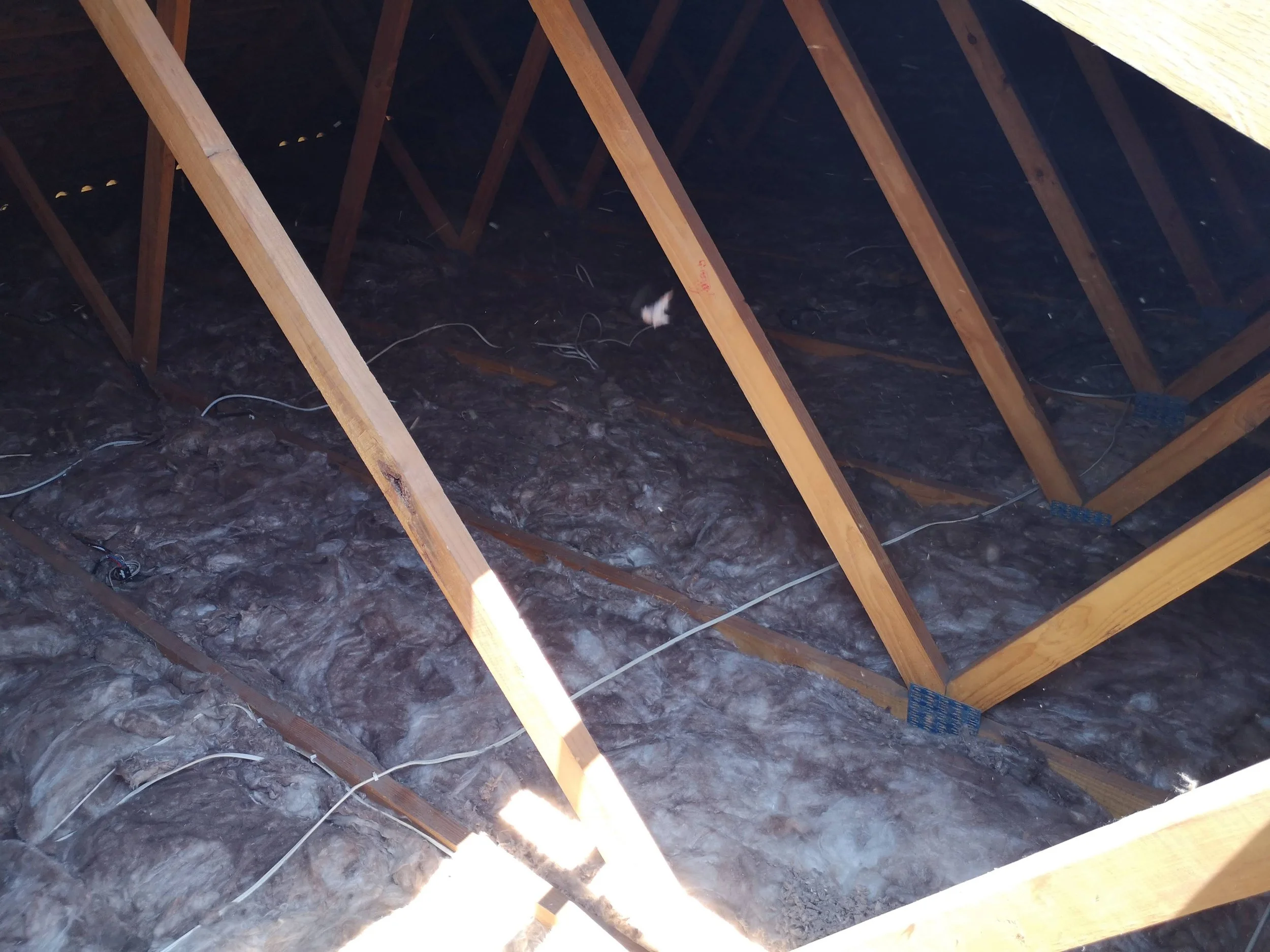 View of attic with exposed wooden rafters and insulation material on the floor.