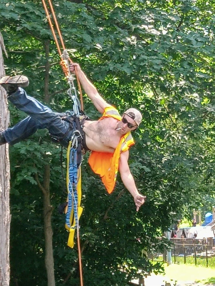 A man is climbing and hanging from a tree branch with climbing equipment, including ropes and harnesses, in a wooded outdoor area.