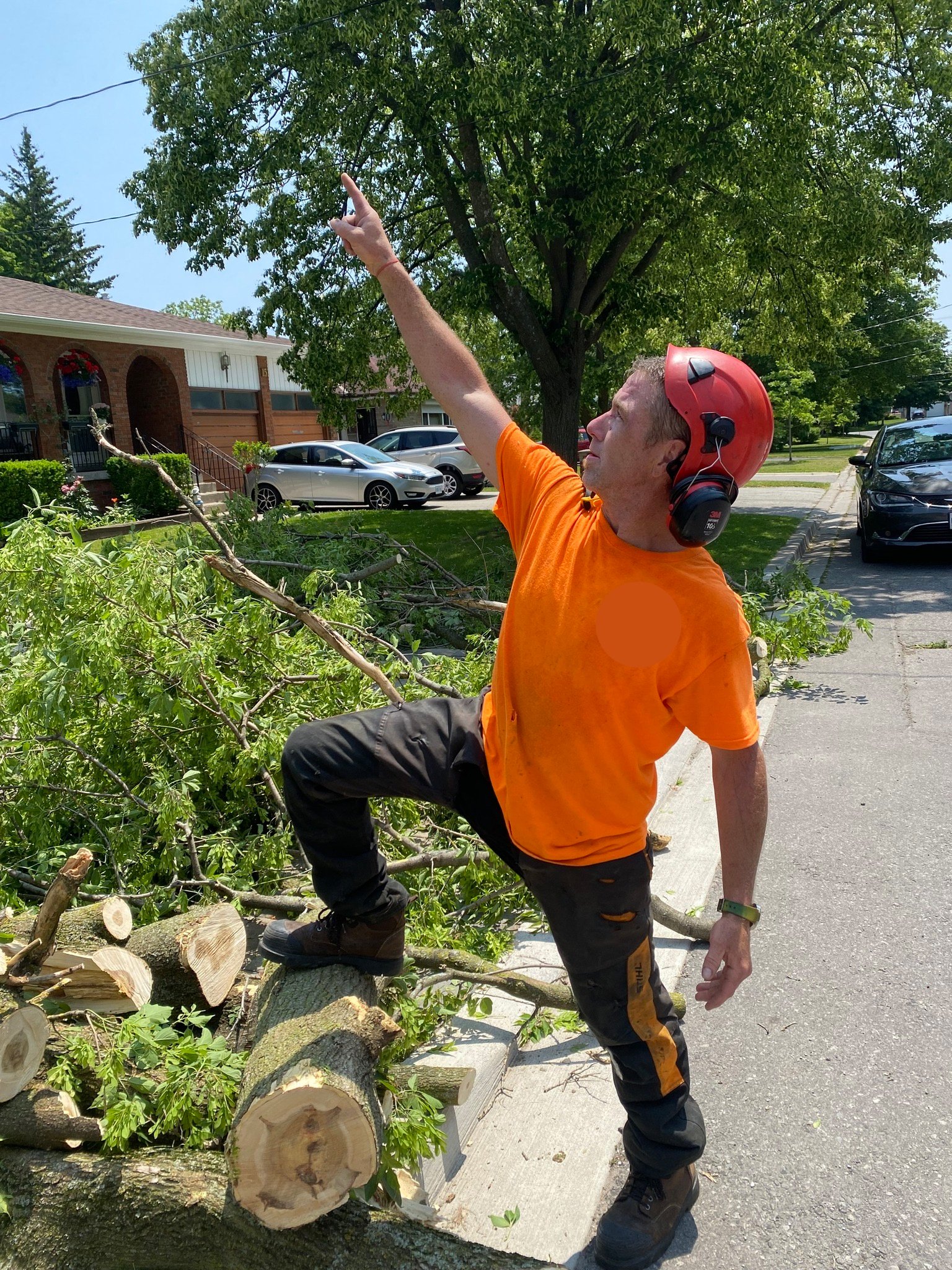 A man wearing an orange shirt, black pants, and a red safety helmet stands on a fallen tree and points upwards while looking at a tree branch. He is on a sidewalk in a residential neighborhood with parked cars and houses in the background.