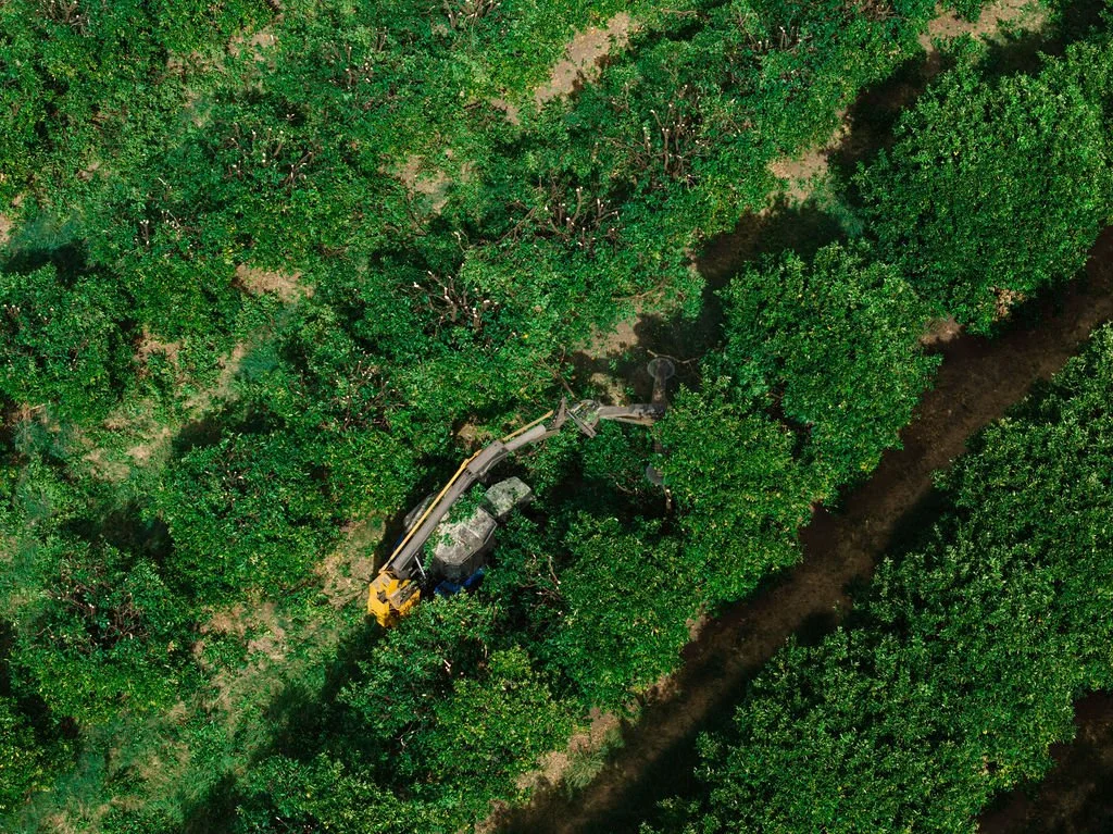 DJI_20260320095432_0152_D.jpg