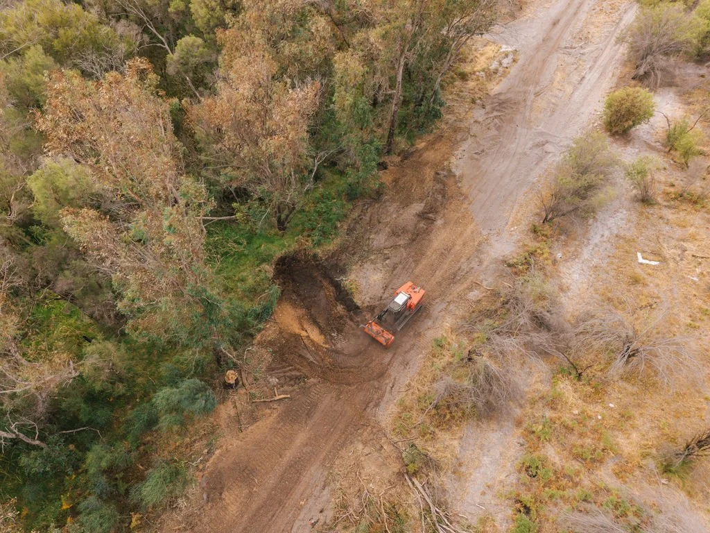 DJI_20260310082158_0703_D.jpg