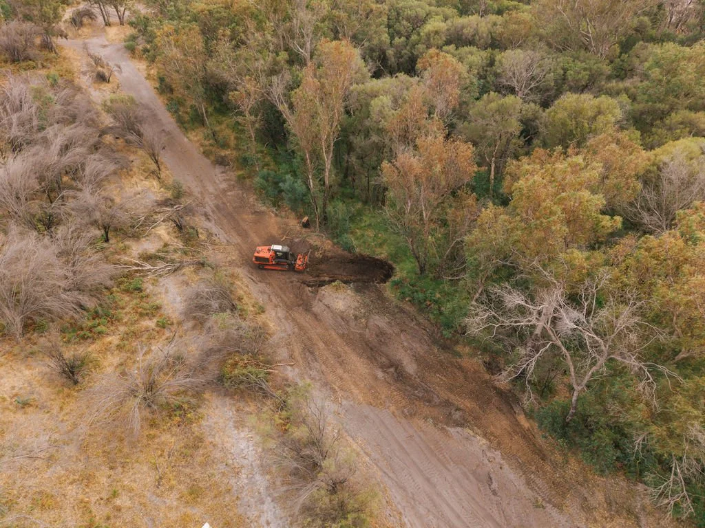 DJI_20260310081943_0698_D.jpg
