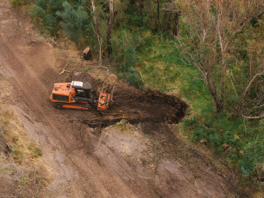 DJI_20260310081919_0697_D.jpg