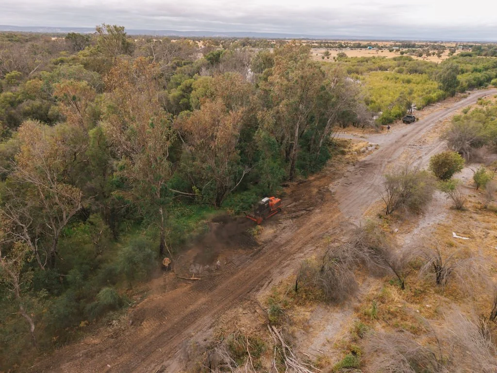 DJI_20260310081109_0689_D.jpg