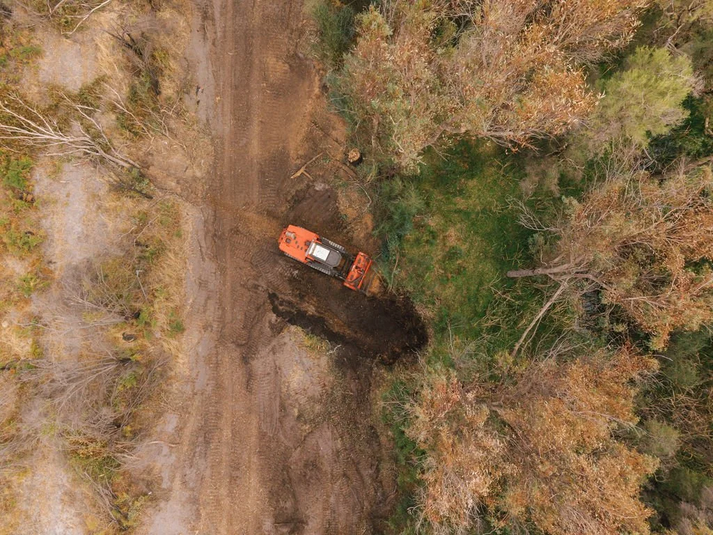 DJI_20260310082026_0700_D.jpg