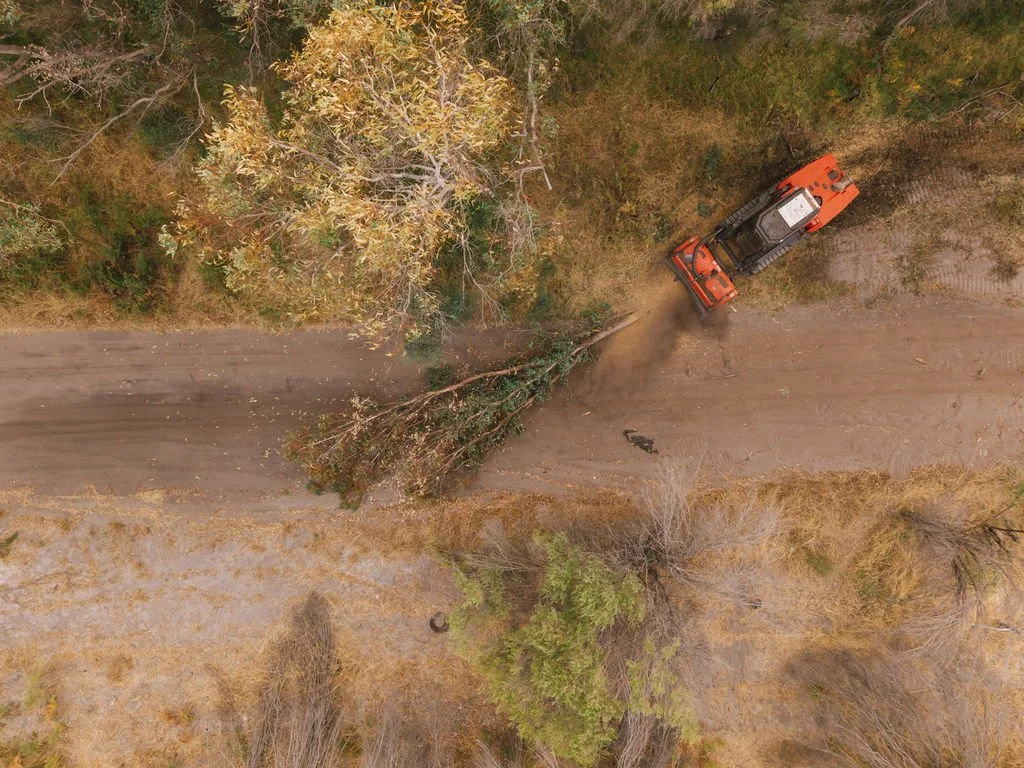 DJI_20260310084850_0713_D.jpg