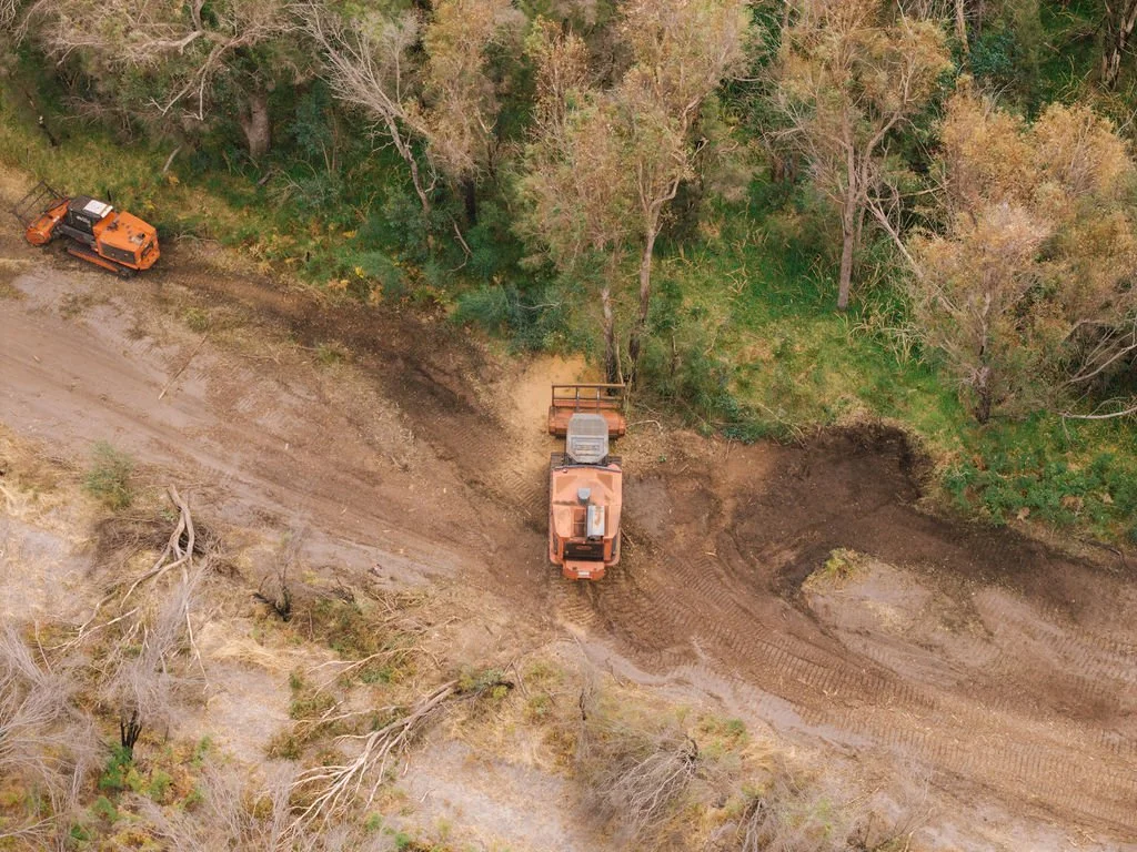 DJI_20260310085052_0721_D.jpg