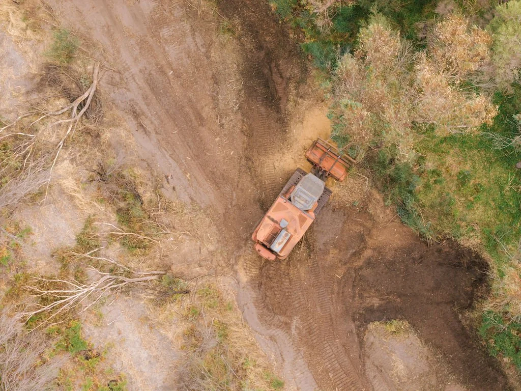 DJI_20260310085108_0722_D.jpg