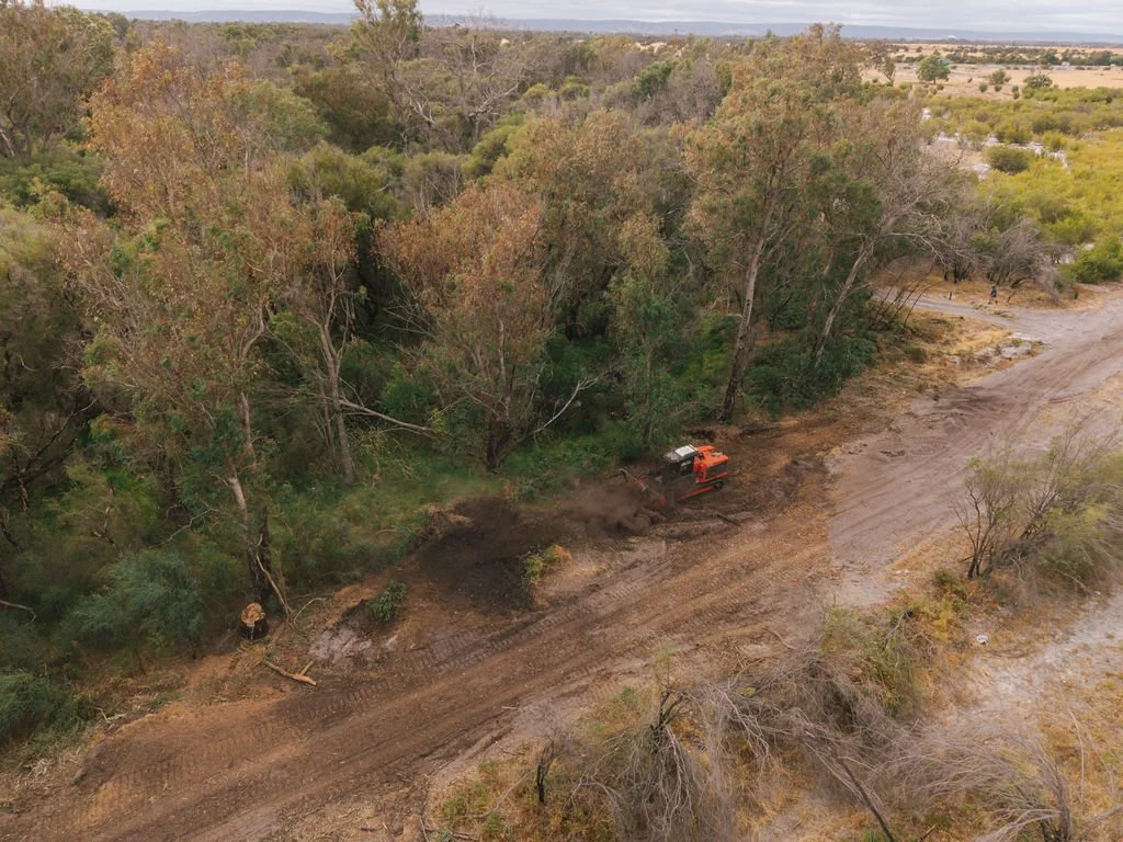 DJI_20260310081115_0690_D.jpg
