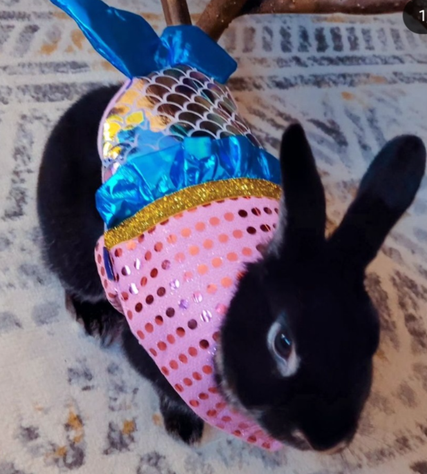 Screenshot 2025-12-29 180339.png