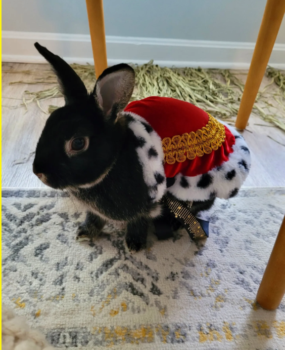 Screenshot 2025-12-29 180332.png