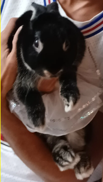 Screenshot 2025-12-29 180345.png