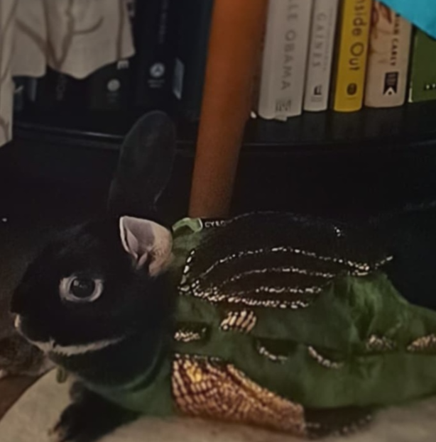 Screenshot 2025-12-29 180357.png