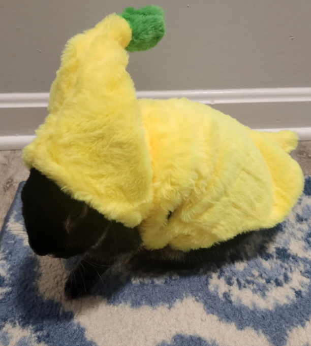 Screenshot 2025-12-29 180409.png