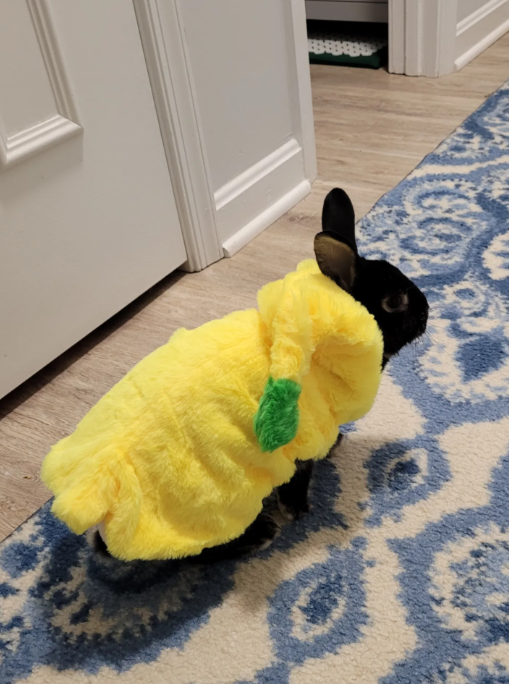 Screenshot 2025-12-29 180414.png