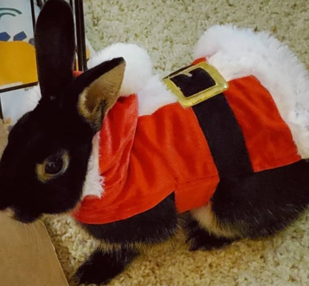 Halloween Costumes Through the Years