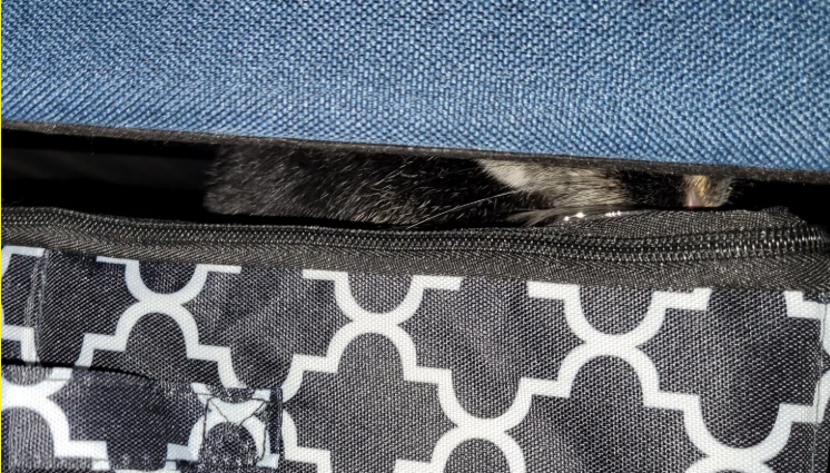 How to Build the Coziest (&amp; Most Secret) Burrow