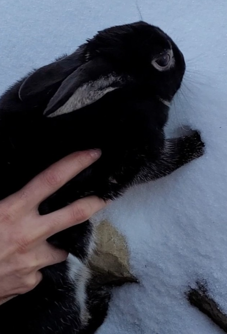 My 1st Snow Experience