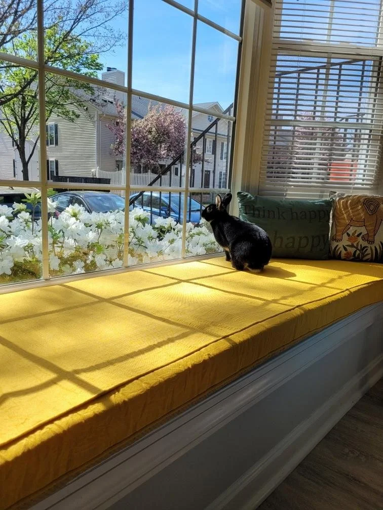 Neighborhood Watch.jpg