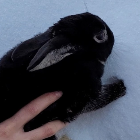 My 1st Snow Experience