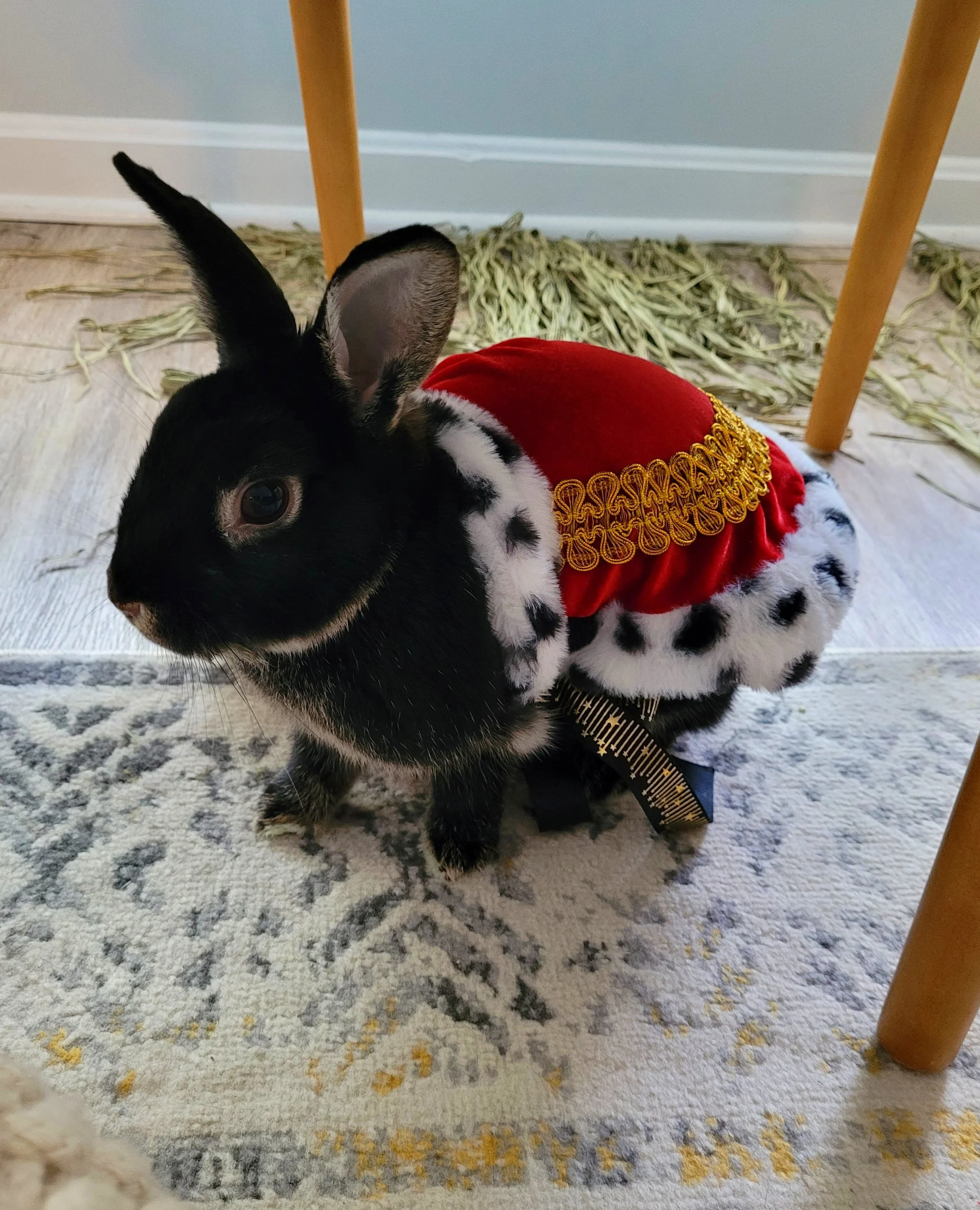 Halloween Costumes Through the Years