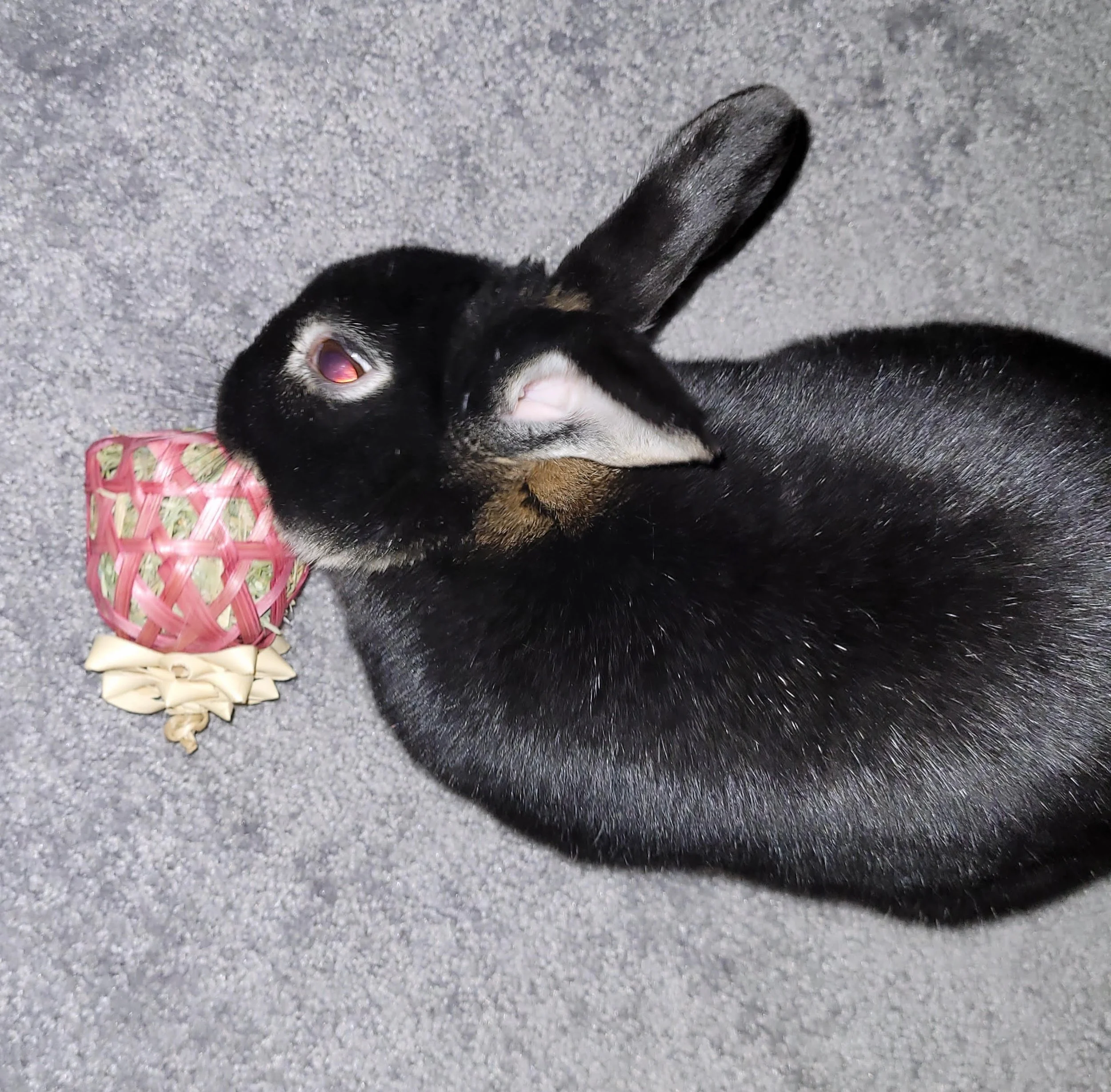 Birthday Reflections