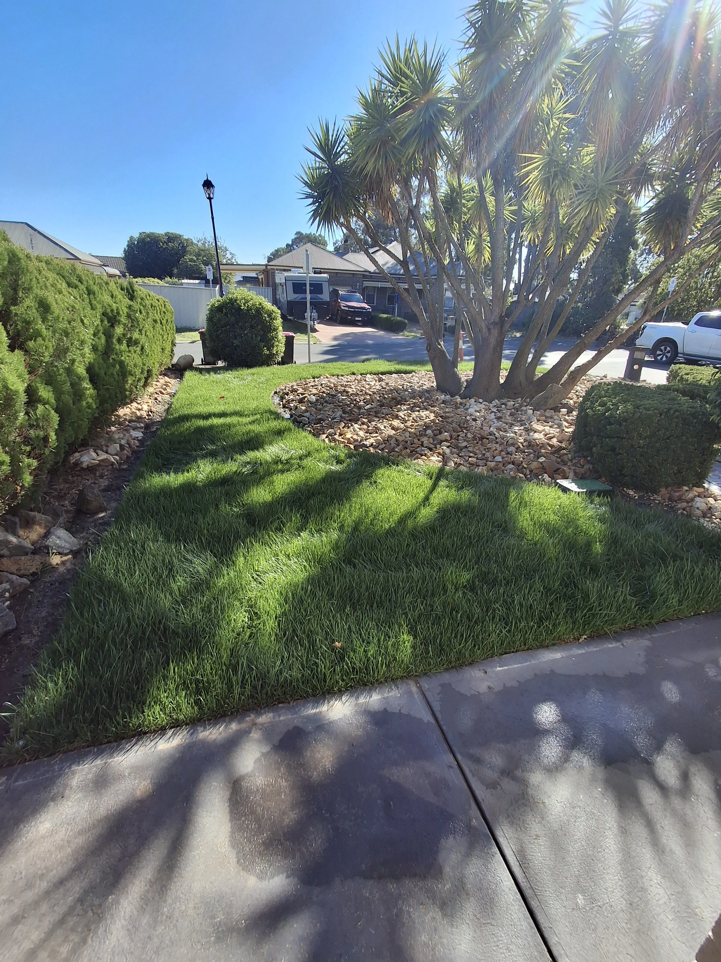 Professional landscaping Geelong (15).jpg
