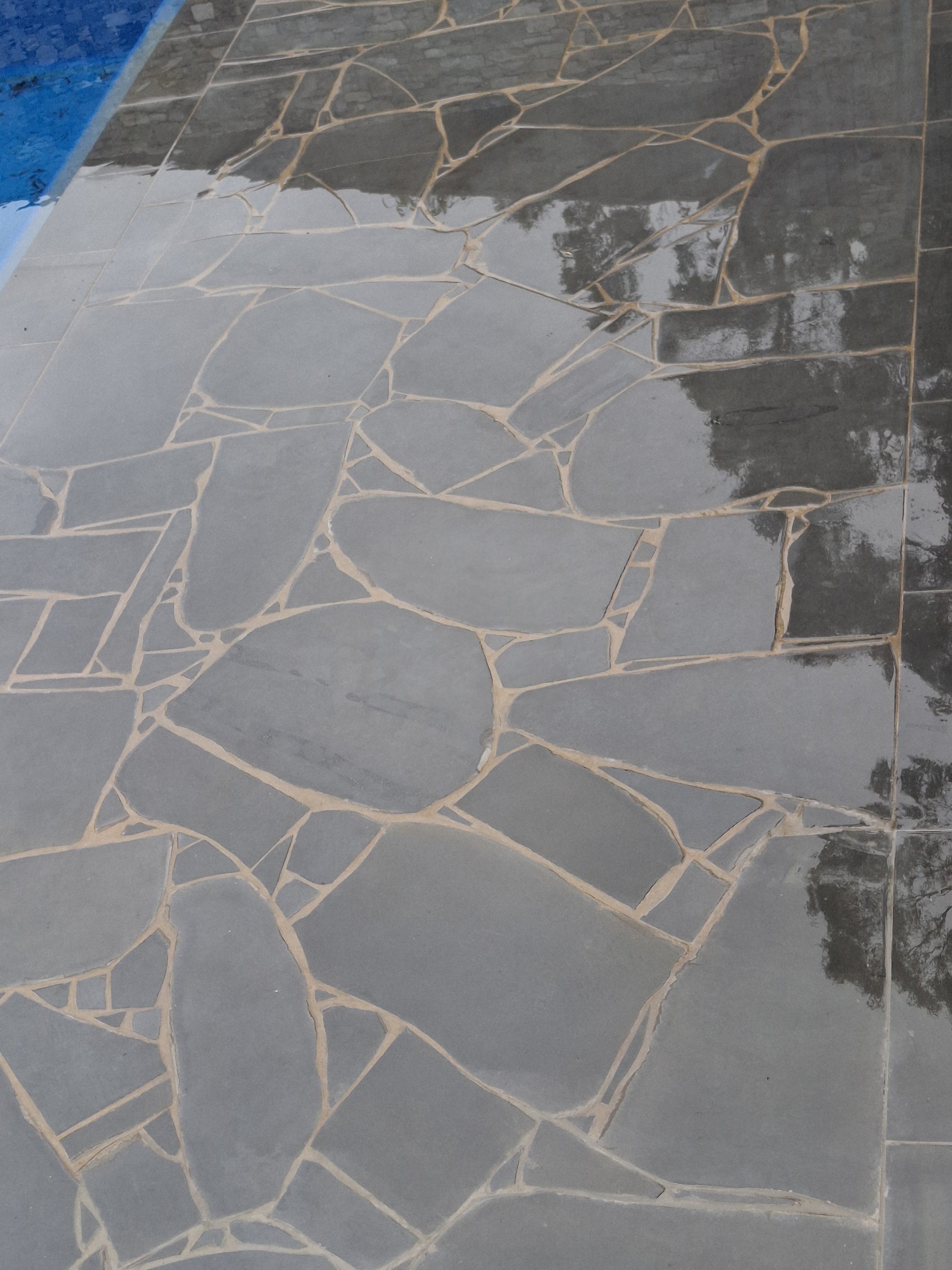 Professional landscaping Geelong (14).jpg