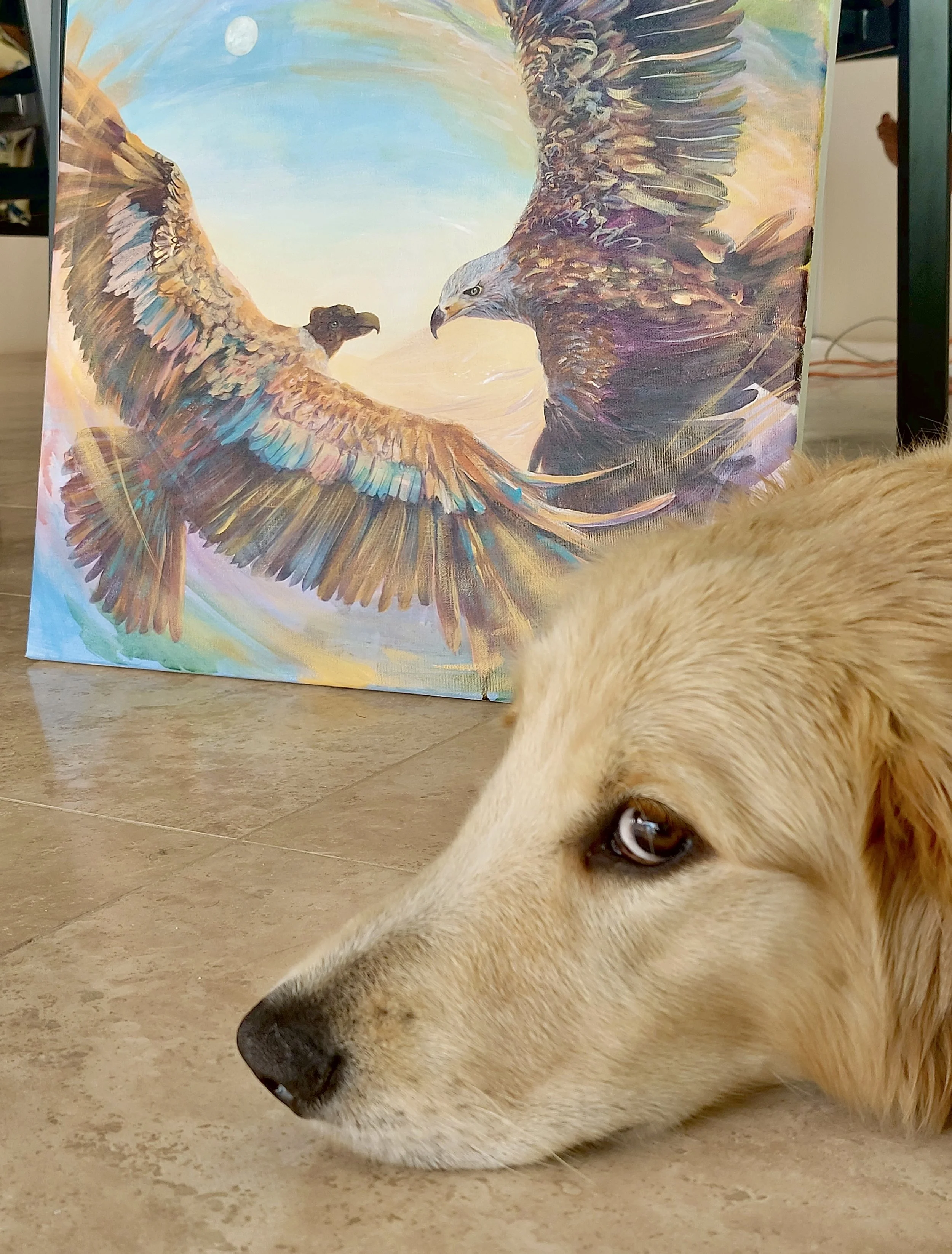 The Eagle and The Condor - 5.jpg
