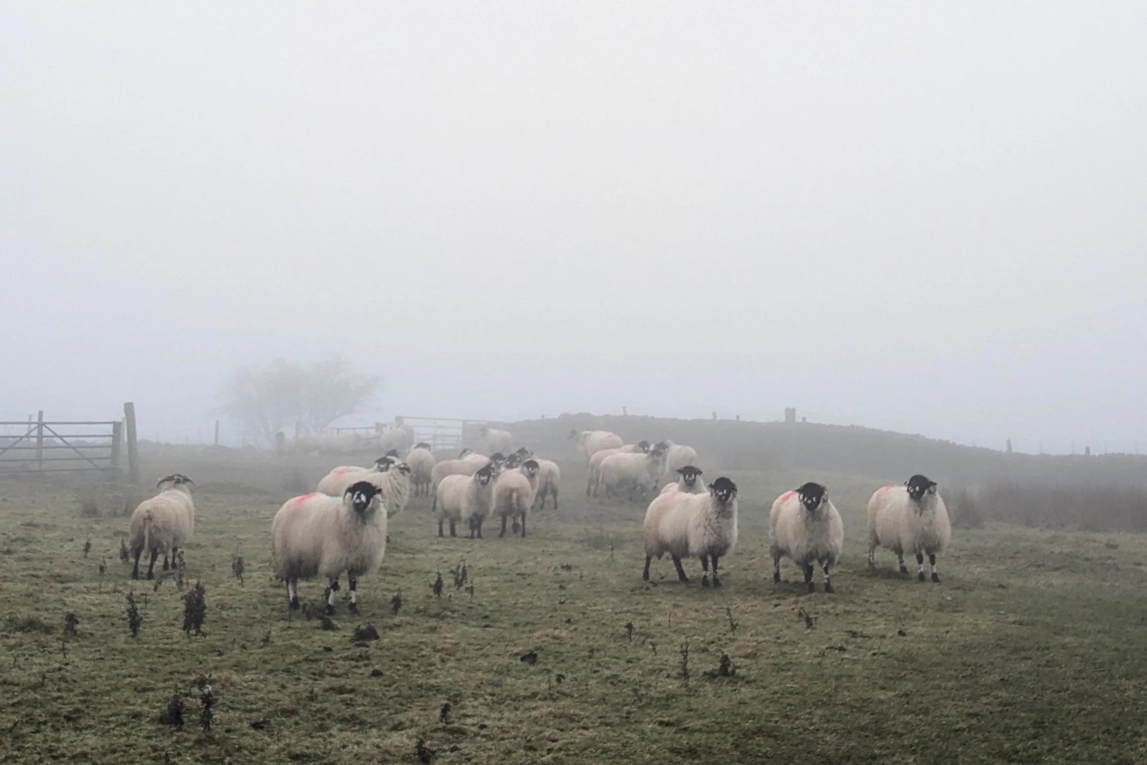 PXL_20260117_110809955~2 (1).jpg