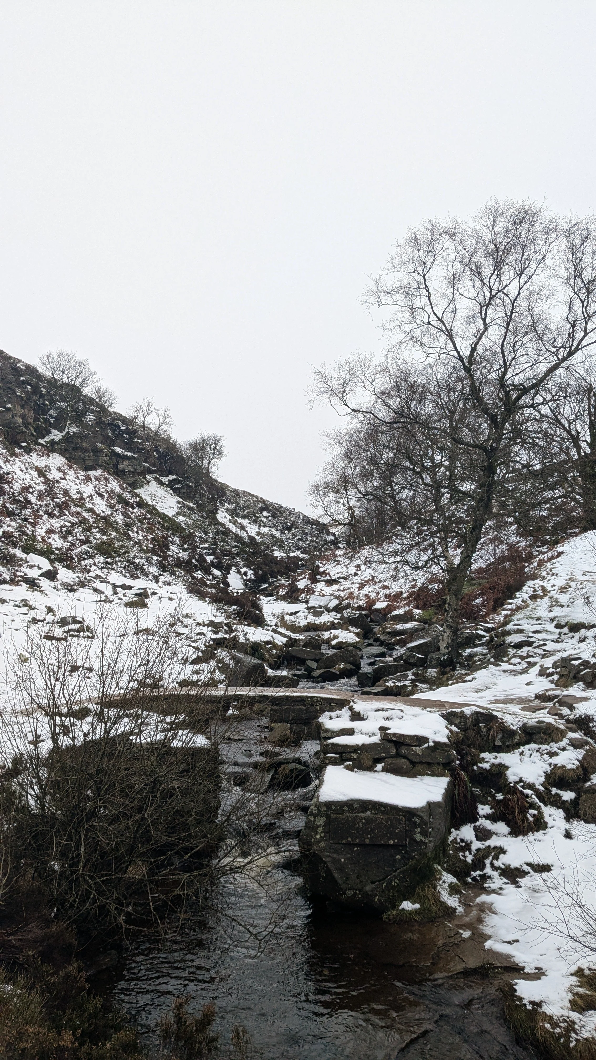 bronte-bridge-in-the-snow.jpg