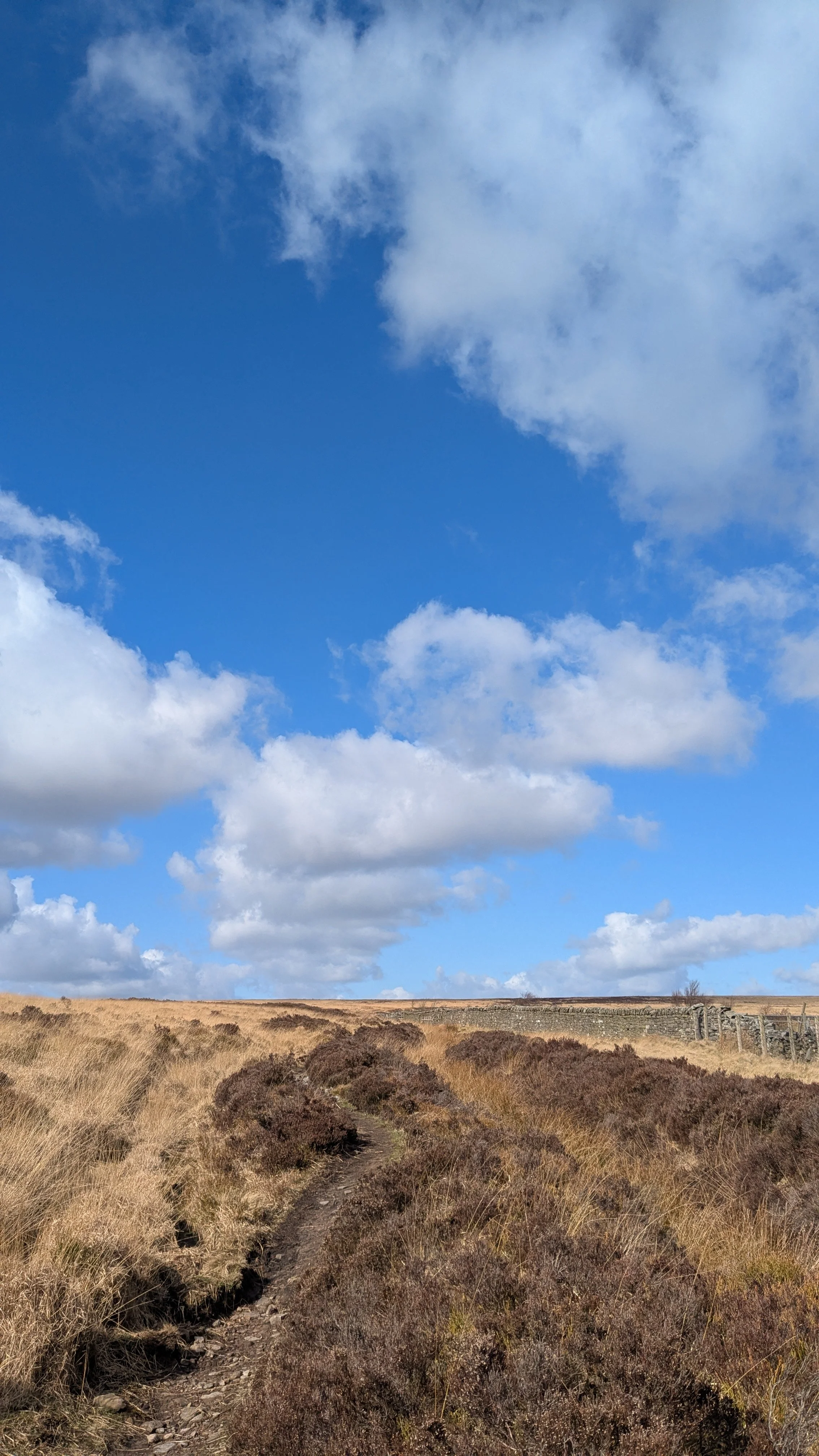 exploring-the-yorkshire-moors.jpg
