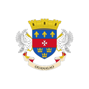 Emblème officiel du département d'Ouánlao, avec un bouclier, deux griffons, une couronne dorée, et une bannière avec le nom 'OUANALAO'.