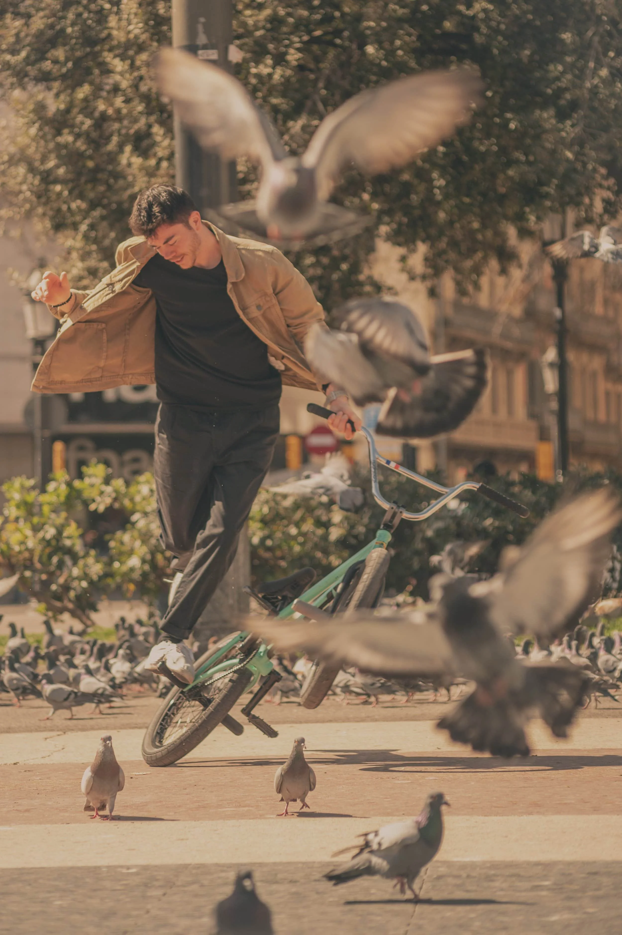 Un jeune homme effectue une acrobatie sur son vélo dans un parc, entouré de pigeons en vol et au sol, avec des bâtiments en arrière-plan par une journée ensoleillée.
