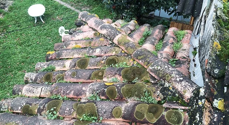 Rénovation de la couverture en tuiles romanes à Menton