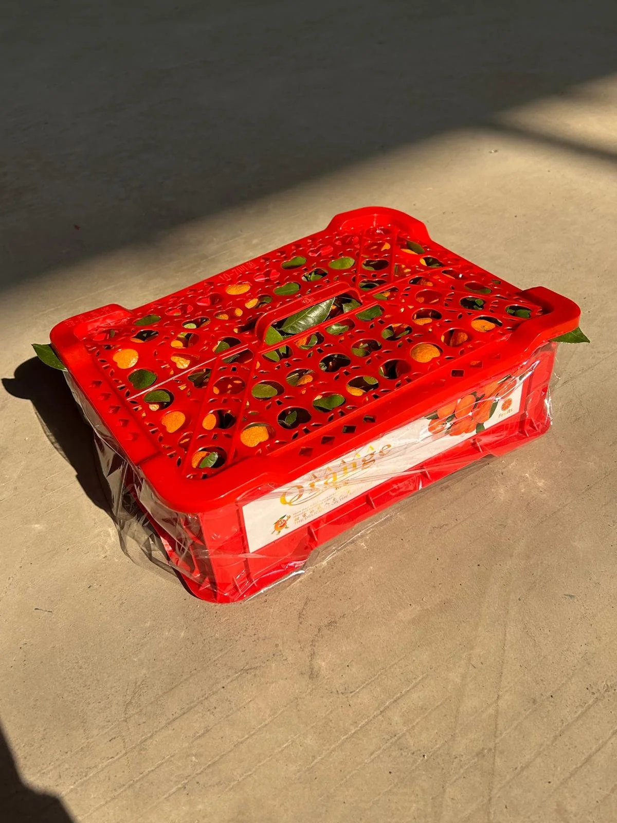Red plastic crate filled with oranges and green leaves.