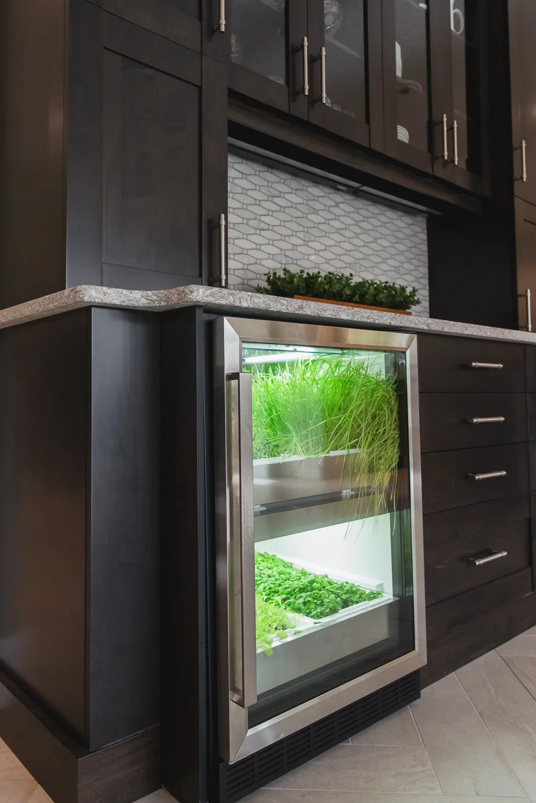 Kitchen with black cabinets, a granite countertop, a small herb garden in a glass fridge, and a white subway tile backsplash.