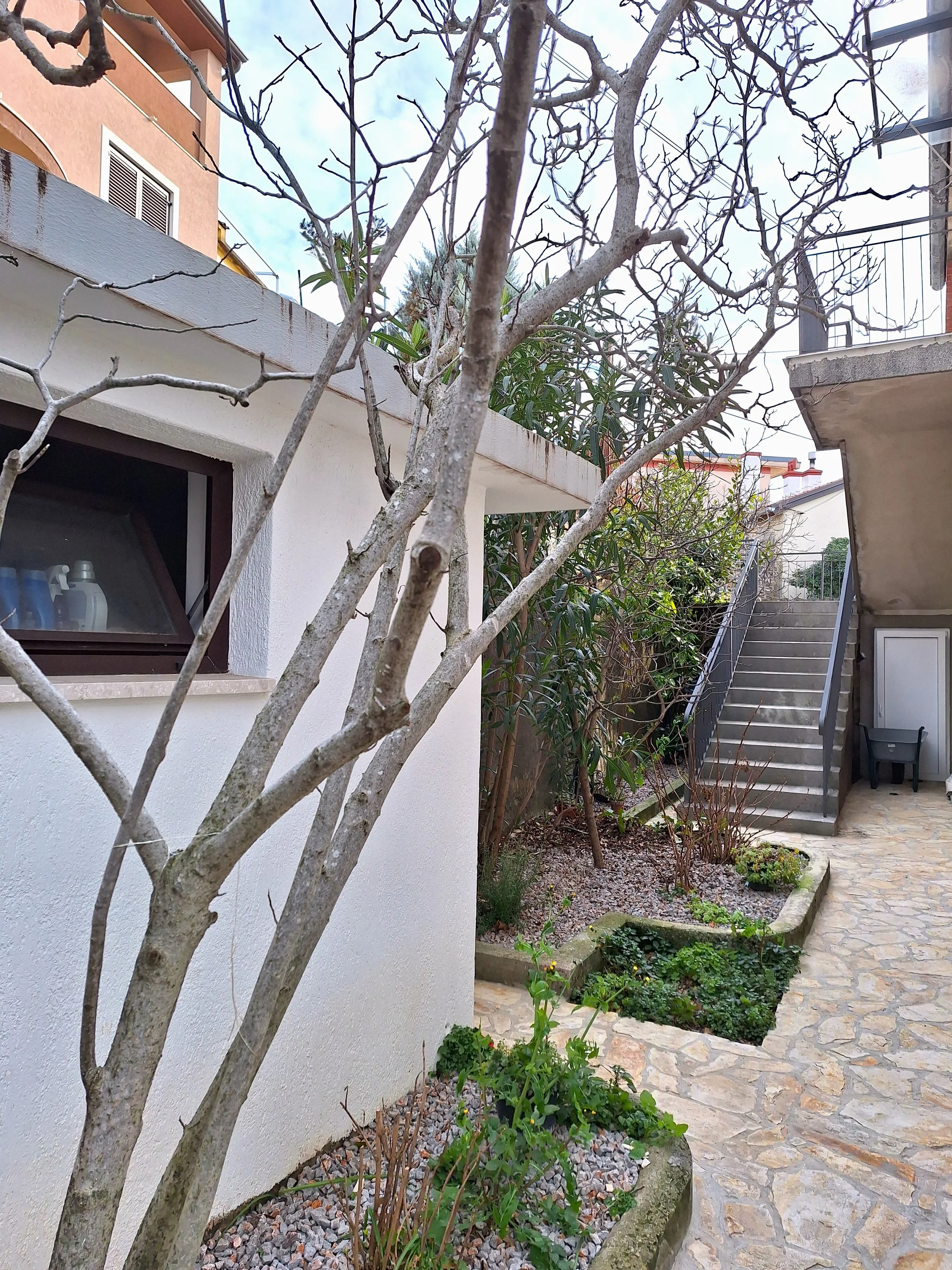 Residential outdoor patio with stone flooring, a small garden bed with various plants, a leafless tree, a staircase leading to an upper floor, and neighboring buildings in the background.