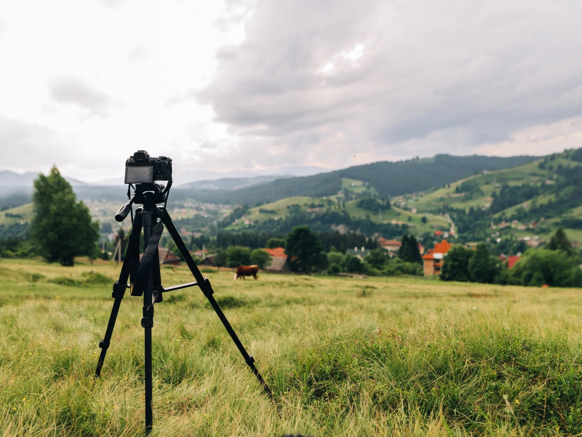 Camera on tripod set up in a grassy field overlooking a rural landscape with trees, hills, houses, and a cow under a cloudy sky.