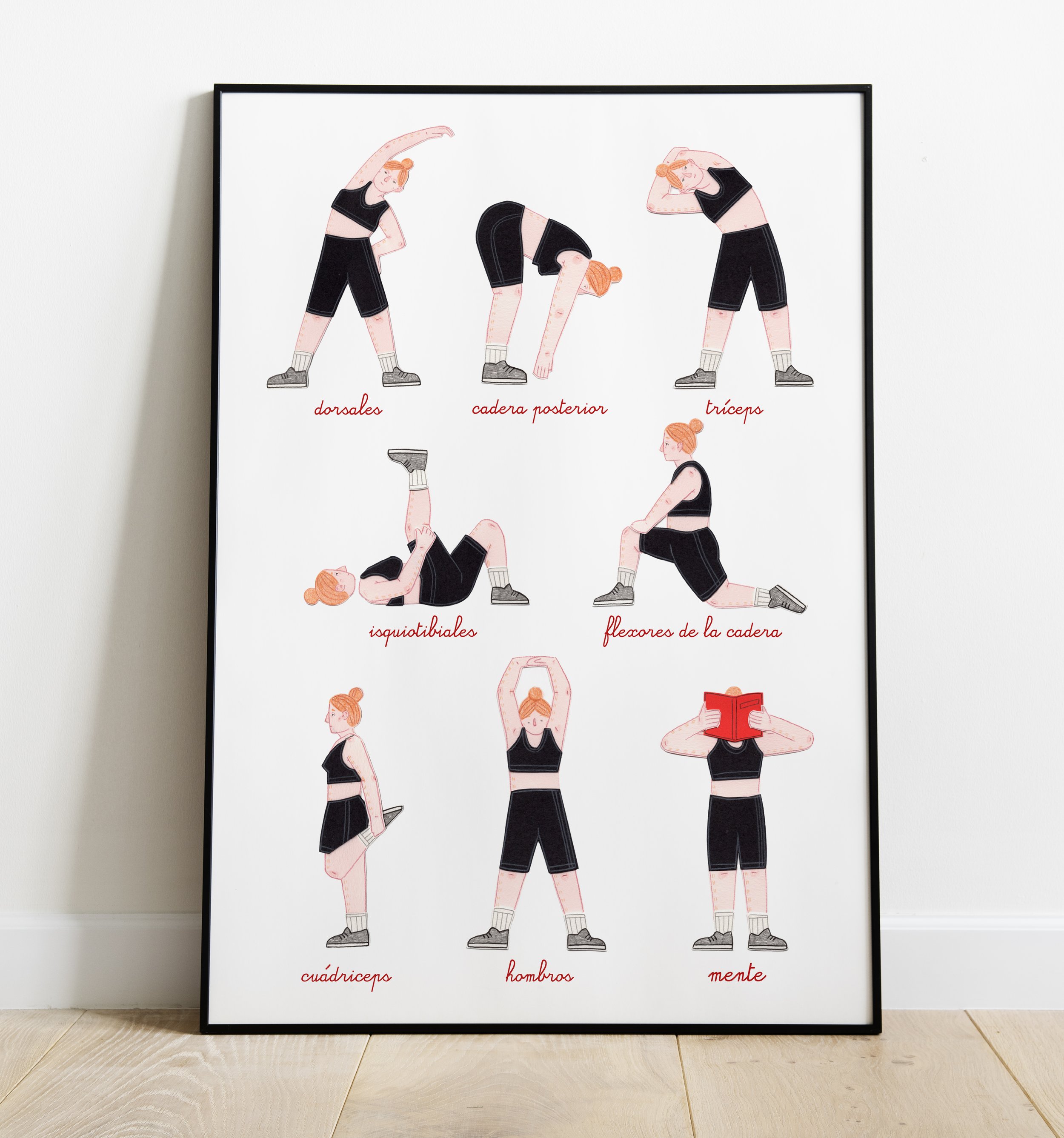 Làmina Estiramientos CAST