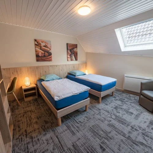 Tweepersoons slaapkamer met twee eenpersoonsbedden, een nachtkastje, een lamp, een stoel en een grote dakraam bij het chateau van Ruhlmann-Schutz.