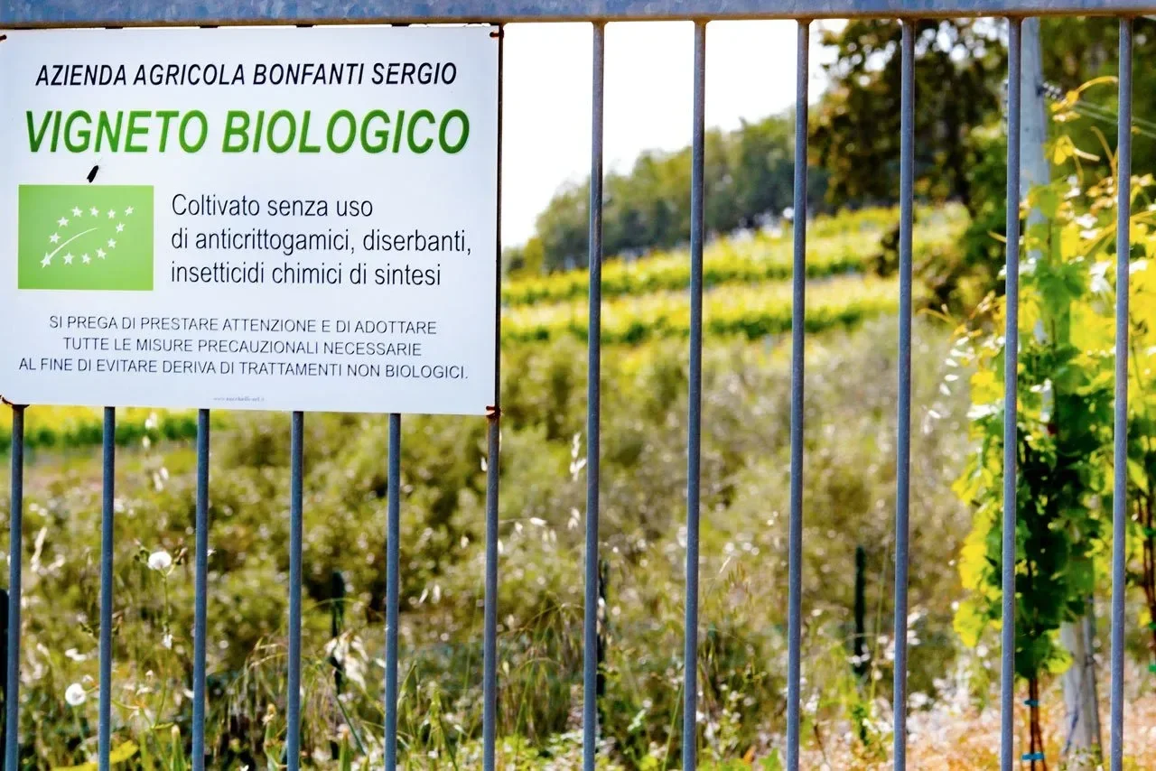 Een bord bij een wijnveld van bonfanti dat aangeeft dat het biologisch is