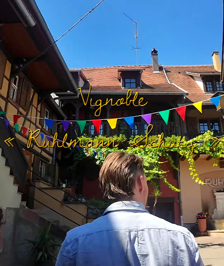 Vino by Palazzo die een bezoek biedt aan Elzasser wijngaard Ruhlmann-Schutz