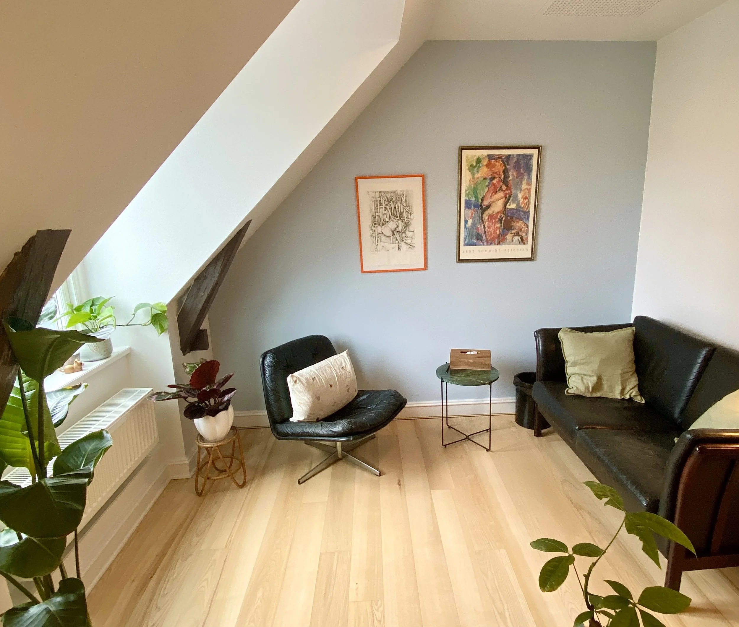 Terapilokale med sort lænestol, sofa, bord og planter.